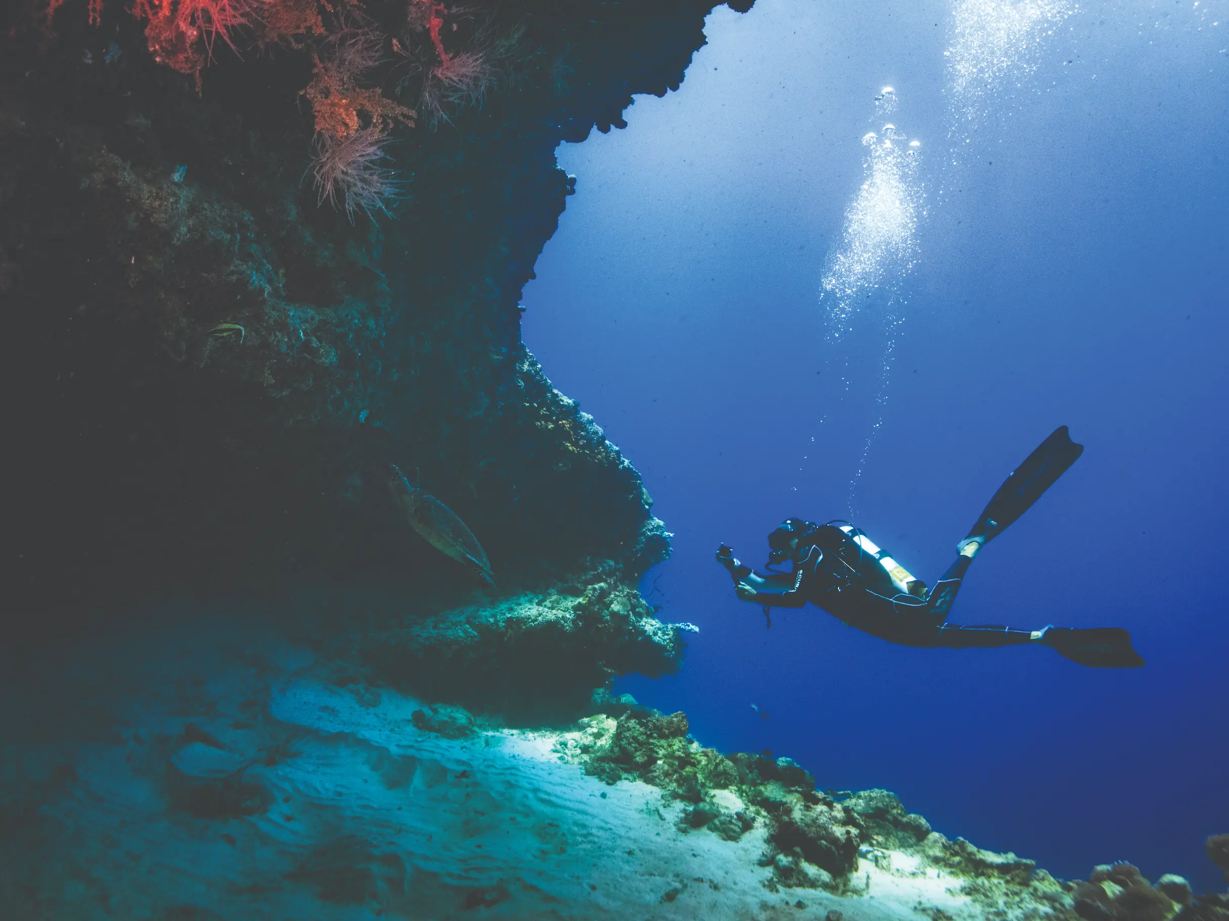 oblu select sangeli diving activities sangeli maldives