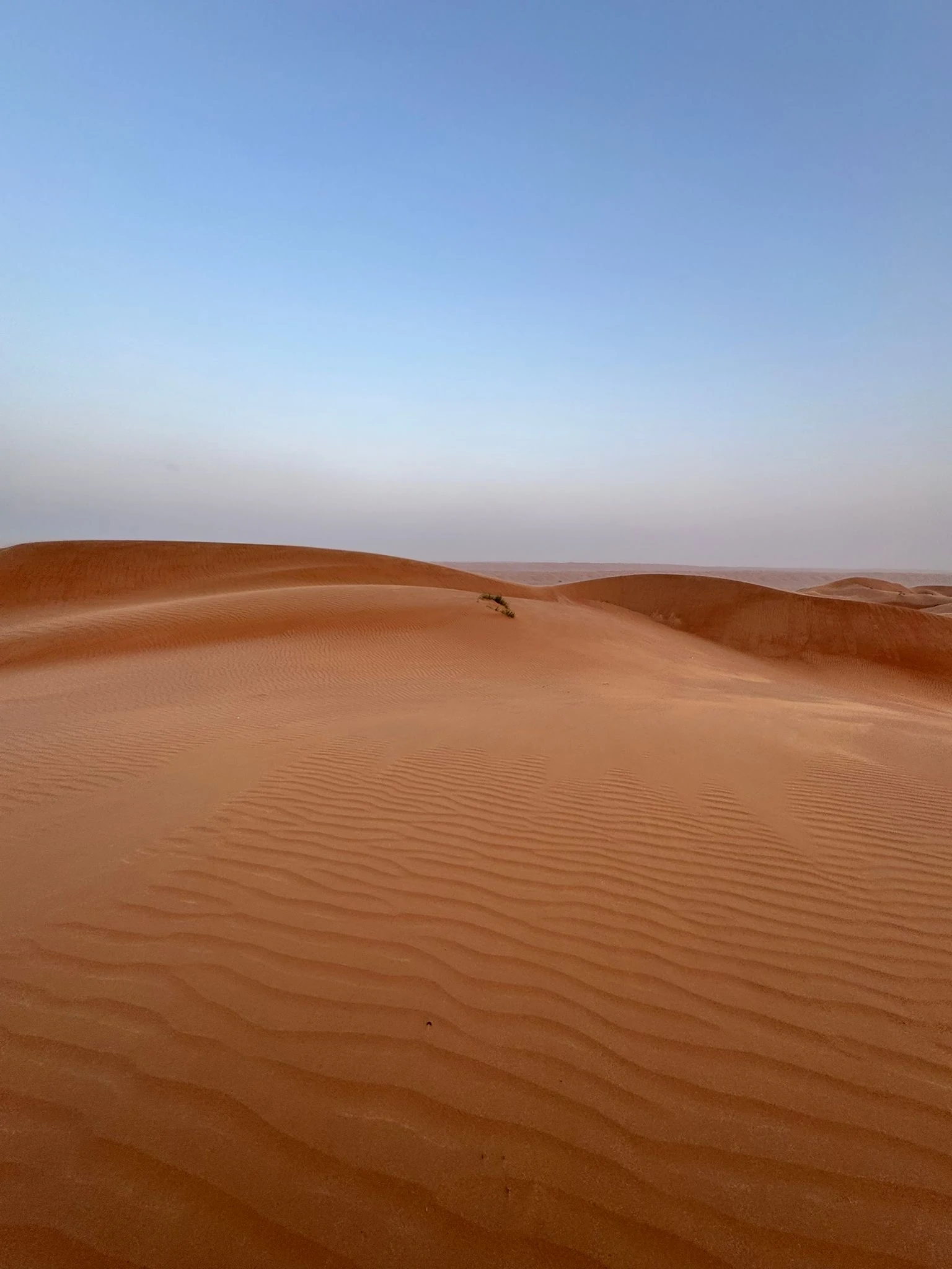 oman desert with golden sand dunes, rolling landscapes, and a clear blue sky, capturing the vast and arid beauty of the region