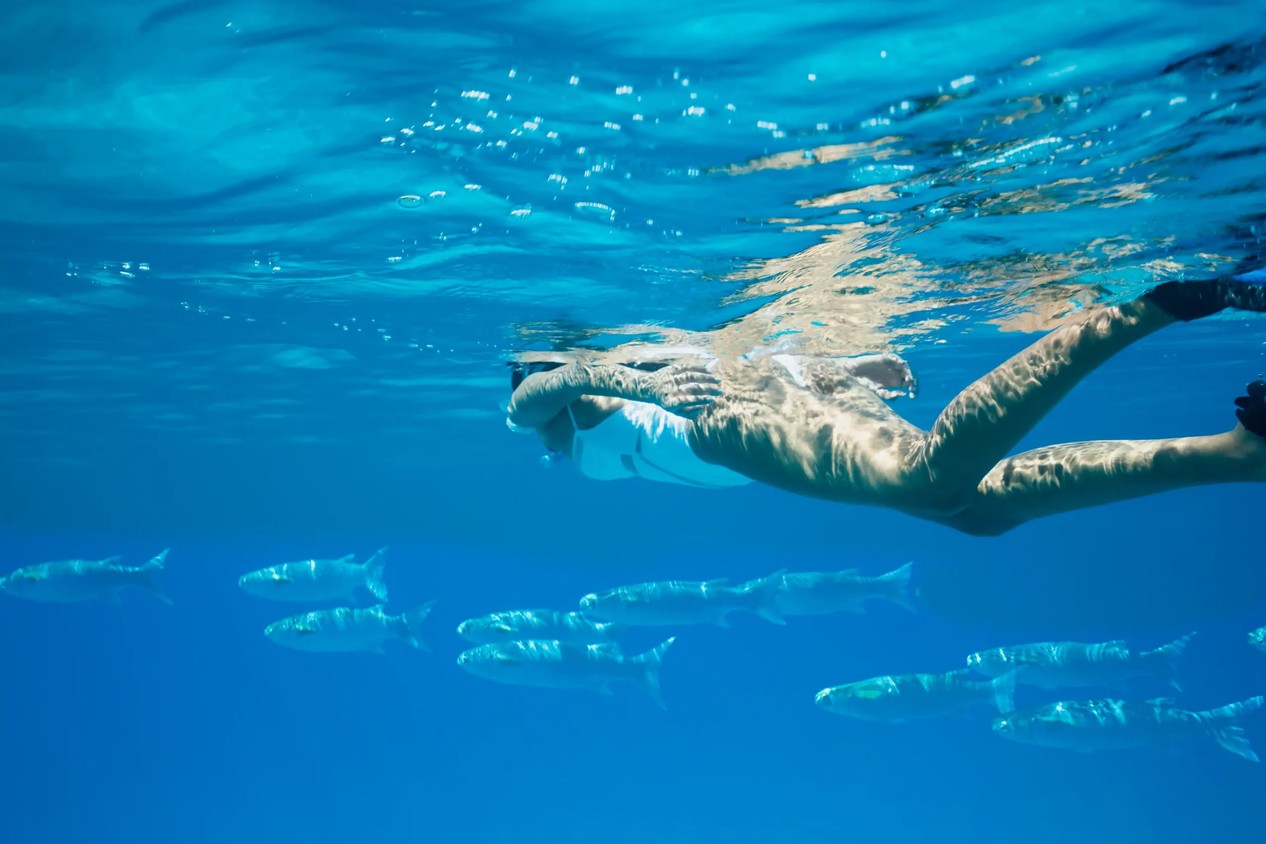 alt="people snorkelling in clear turquoise waters at raffles seychelles surrounded by coral and marine life