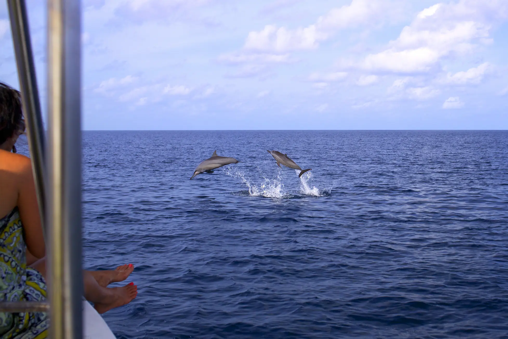 six senses laamu maldives dolphin cruise with dolphins gliding through calm turquoise waters and a serene elevated barefoot luxury ocean experience