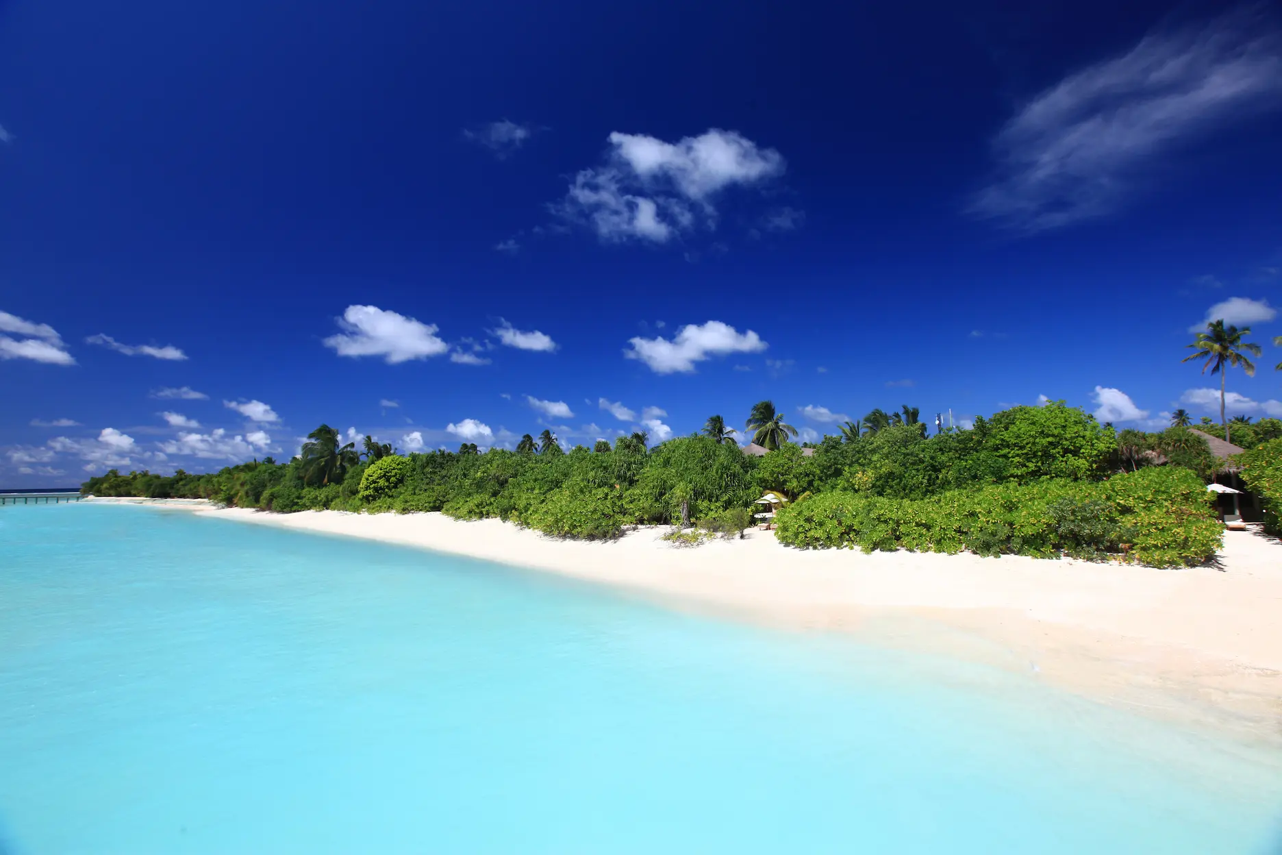 six senses laamu maldives ocean beach villa with pool aerial view overlooking turquoise lagoon tropical greenery and a serene elevated barefoot luxury atmosphere