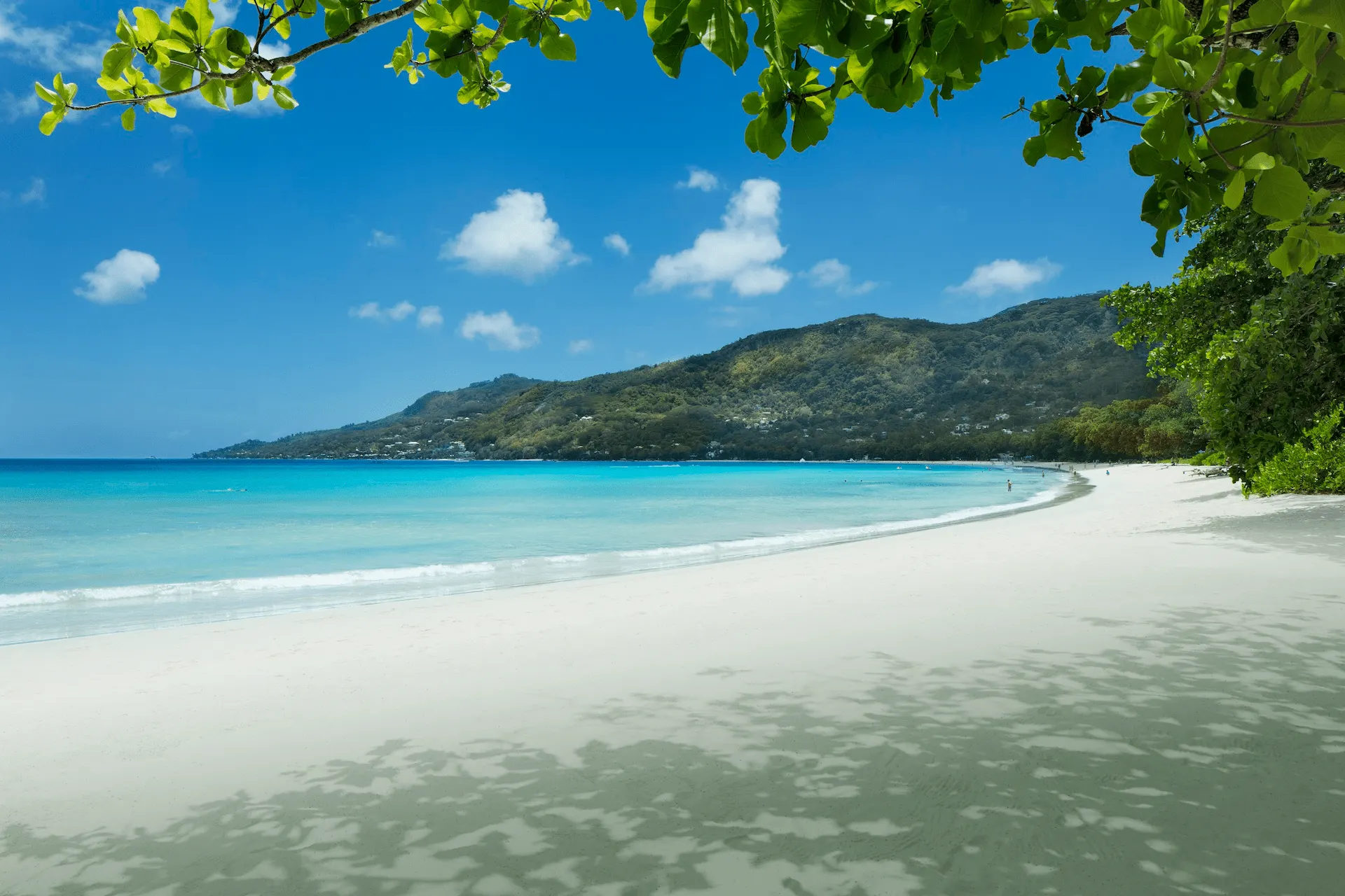 Beau Vallon Beach in Seychelles with white sand, calm turquoise waters, and palm trees along the shoreline