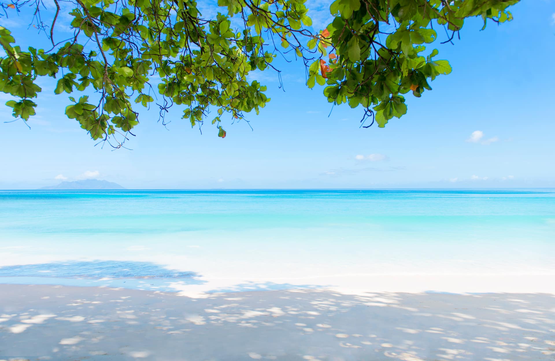 Beau Vallon Beach in Seychelles with white sand, turquoise waters, and people relaxing under palm trees