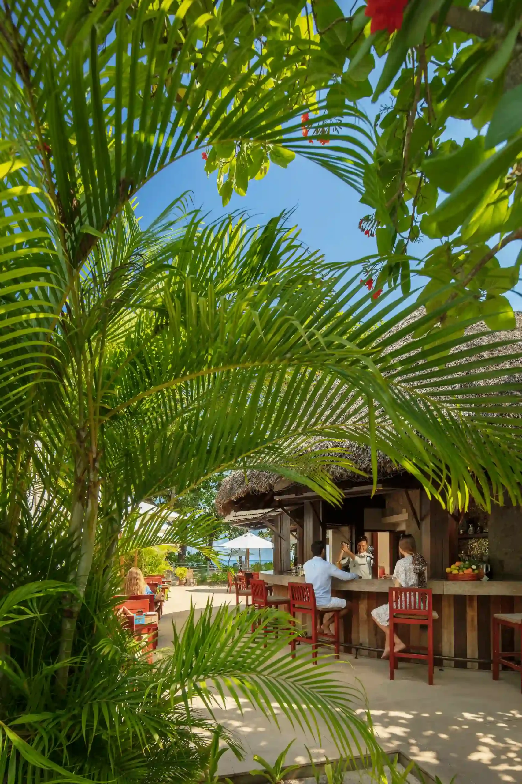 Ripples Pool Bar in Seychelles, showing a swim-up bar with seating, tropical drinks, and a poolside