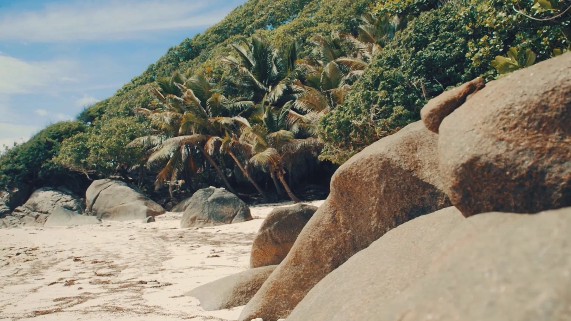 beach stop during a cruise with Variety Cruises in the Seychelles featuring white sand, turquoise waters, and a secluded tropical setting