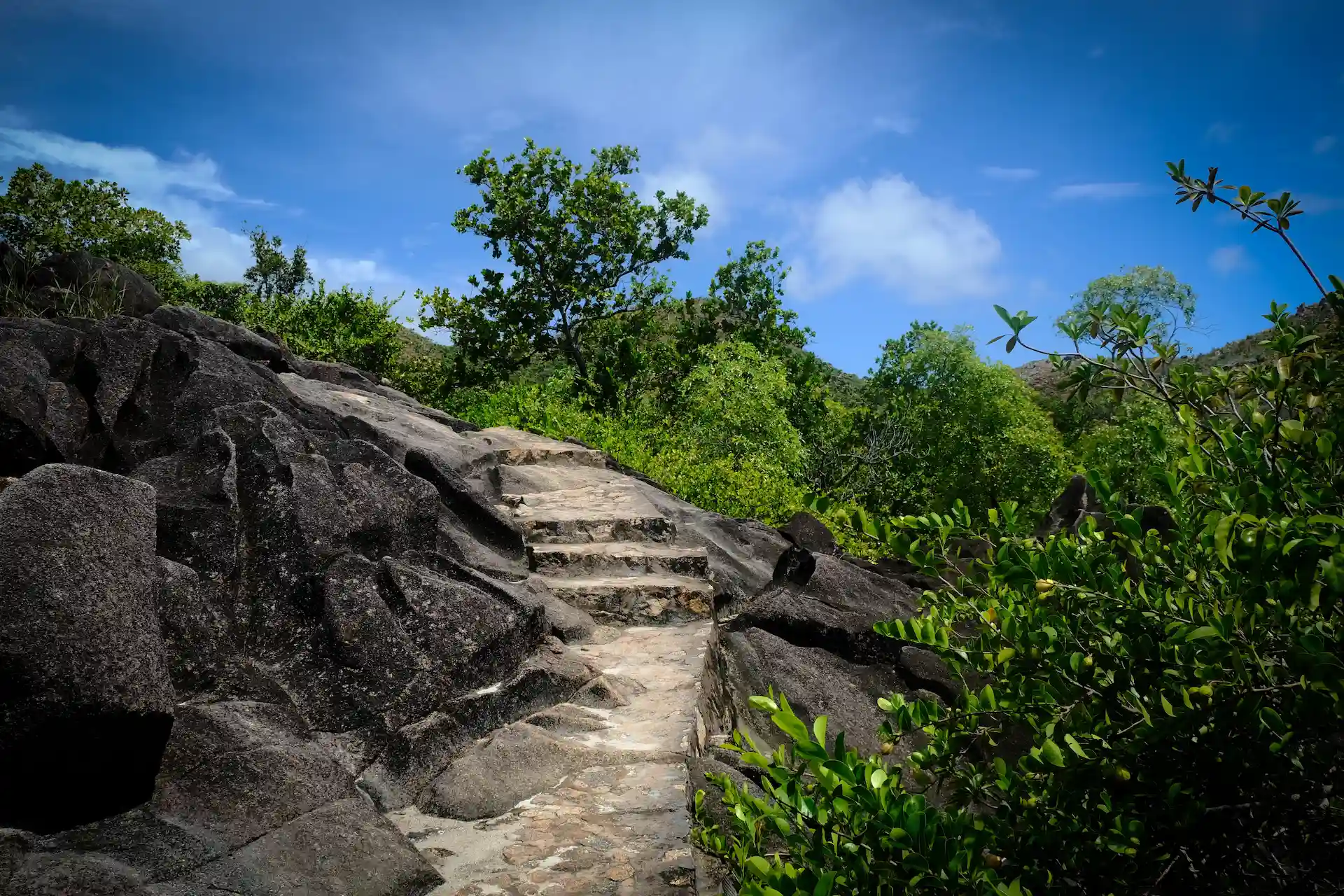 island path during a cruise with Variety Cruises in the Seychelles, showing a tropical walking trail surrounded by lush vegetation and coastal scenery