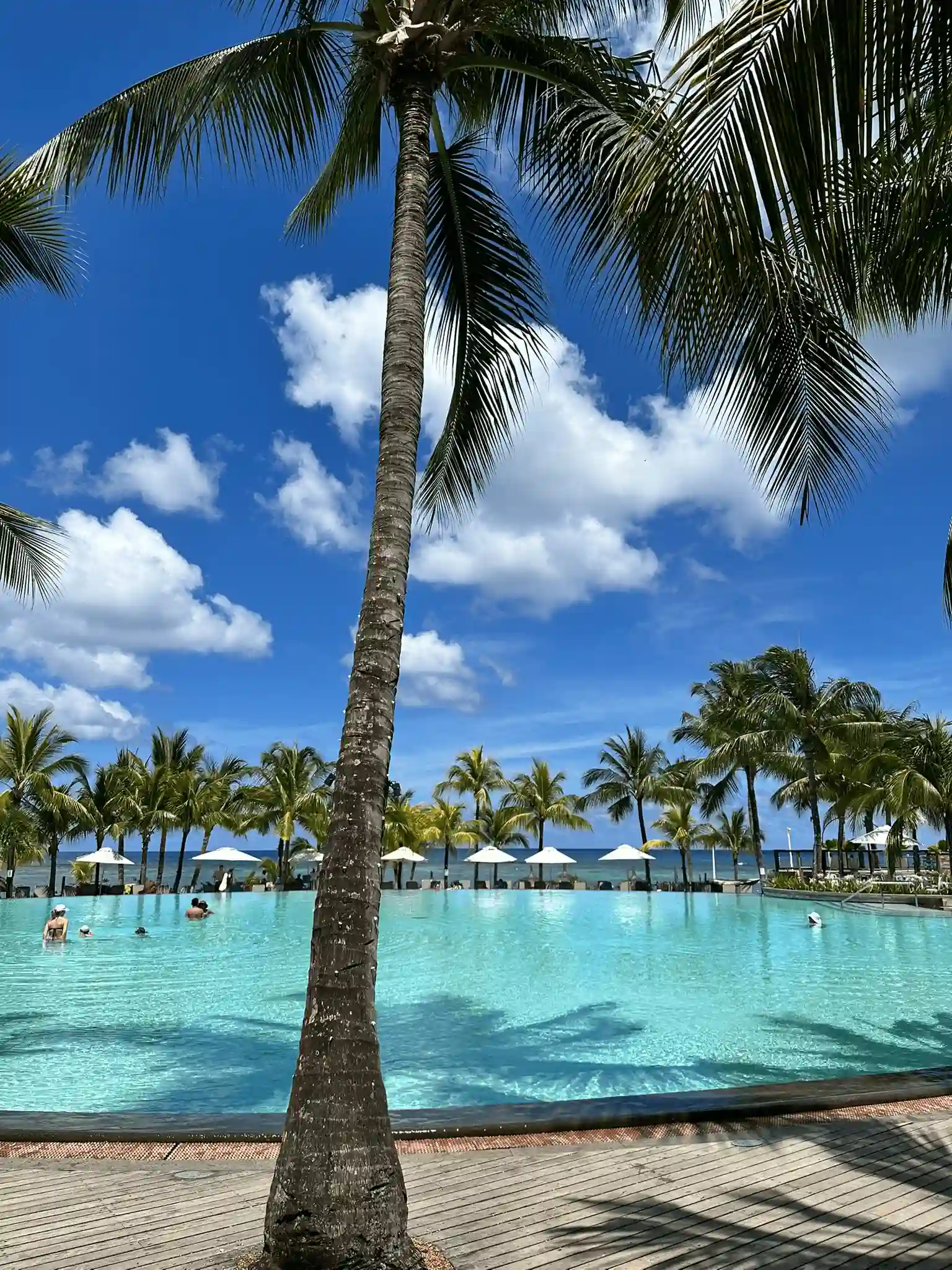 victoria mauritius pool with palm tree and sun loungers