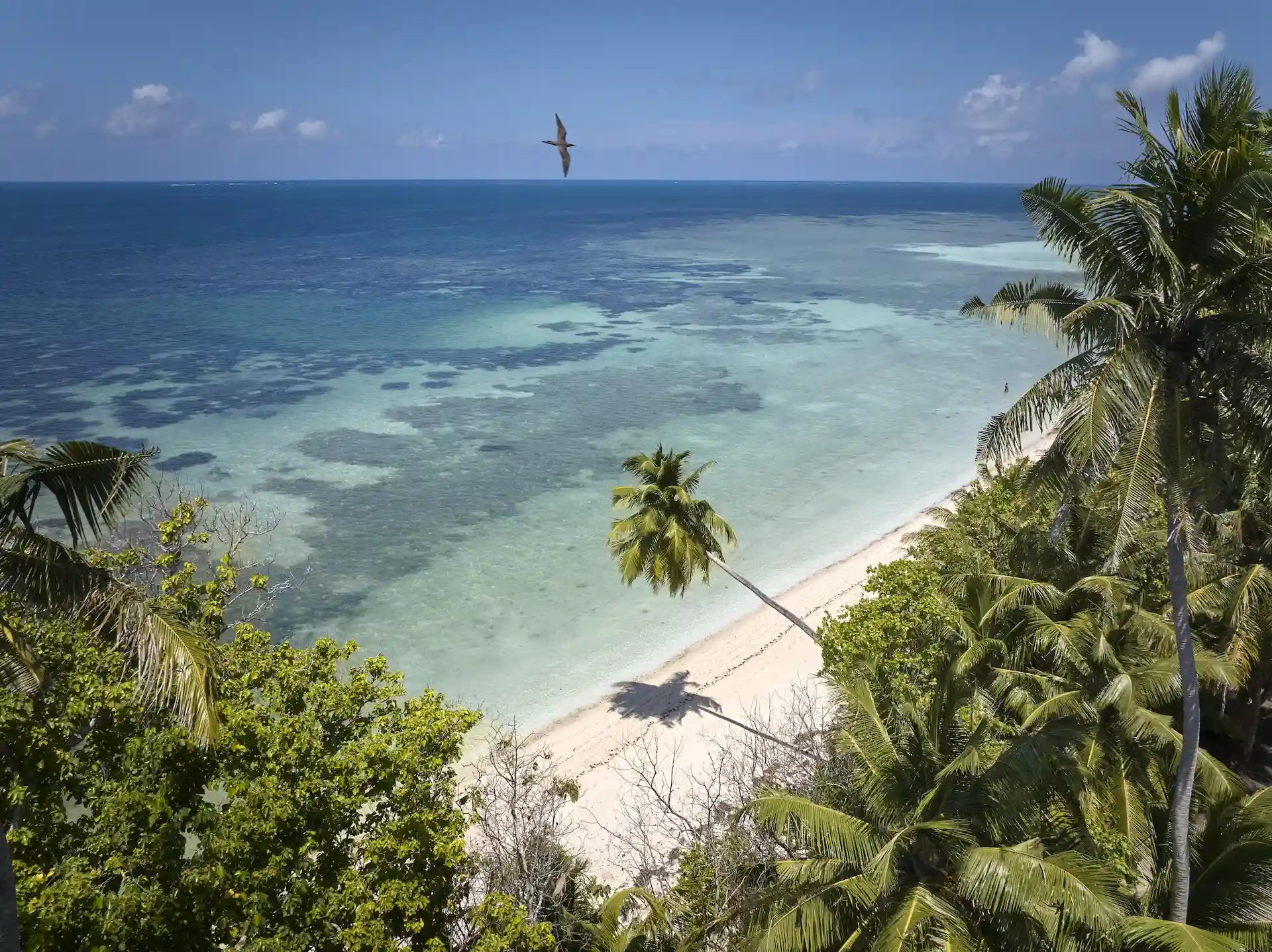 waldorf astoria seychelles platte island beach with white sand