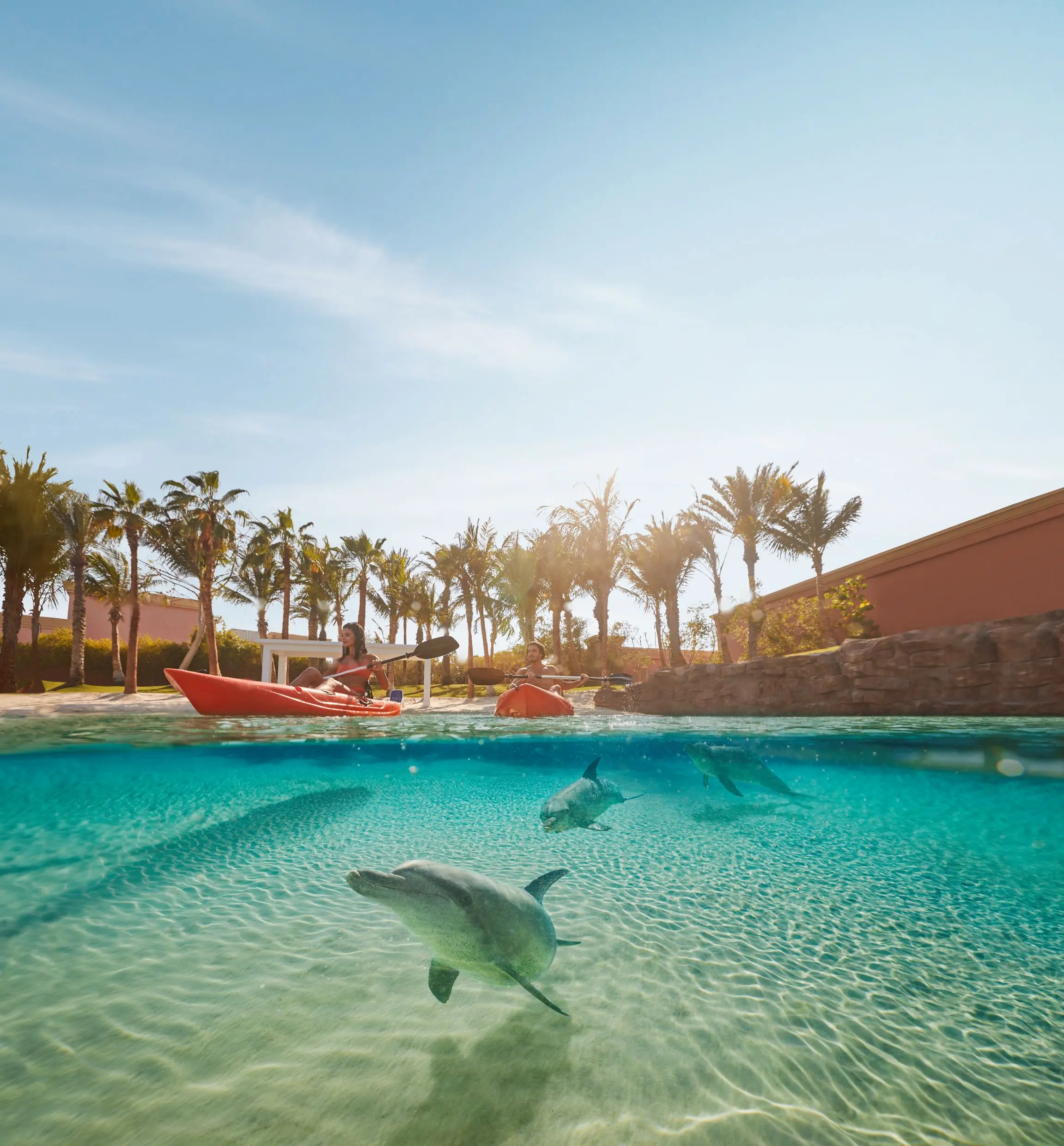 dolphin kayak experience at atlantis the palm dubai
