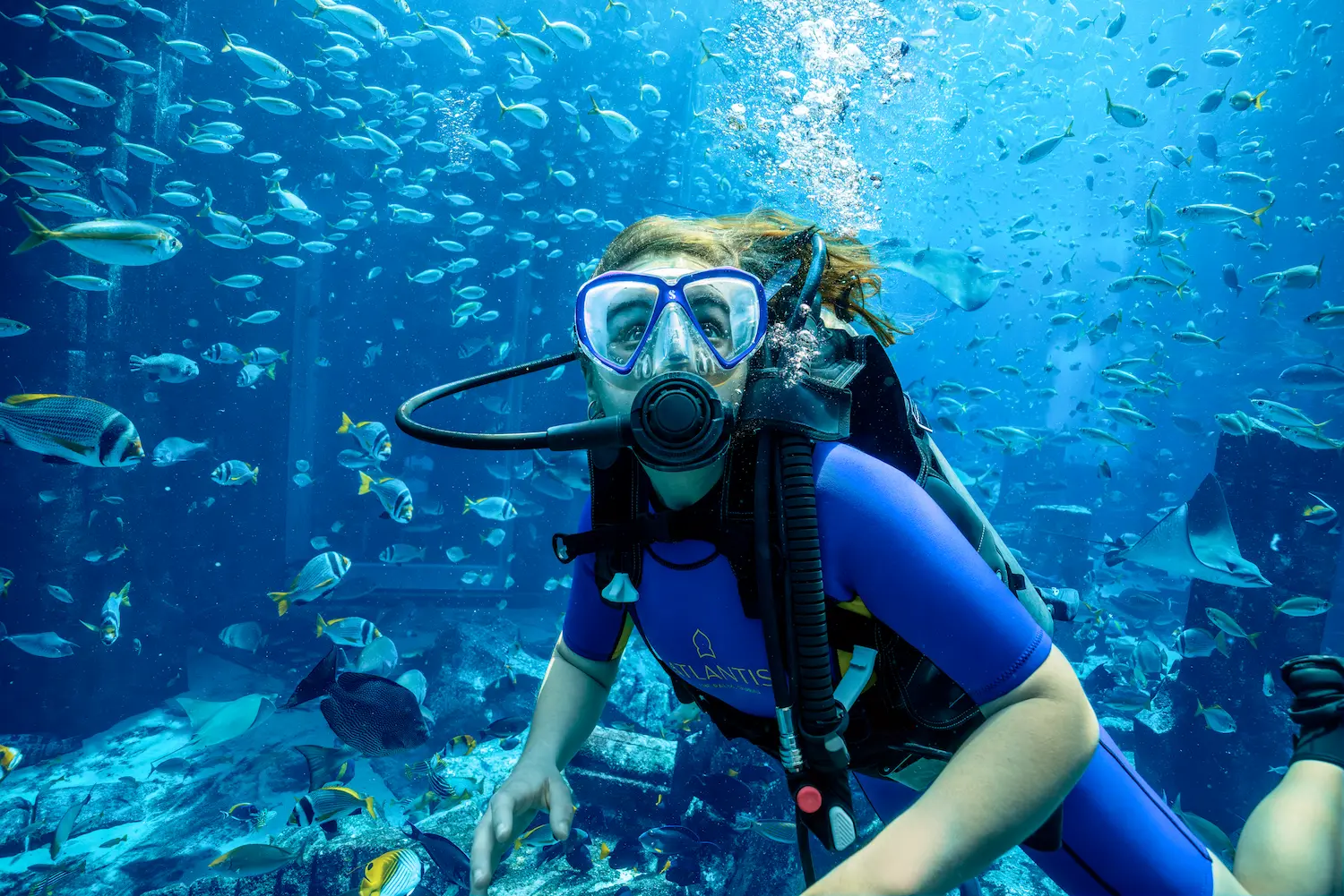 lost world aquarium at atlantis the palm dubai