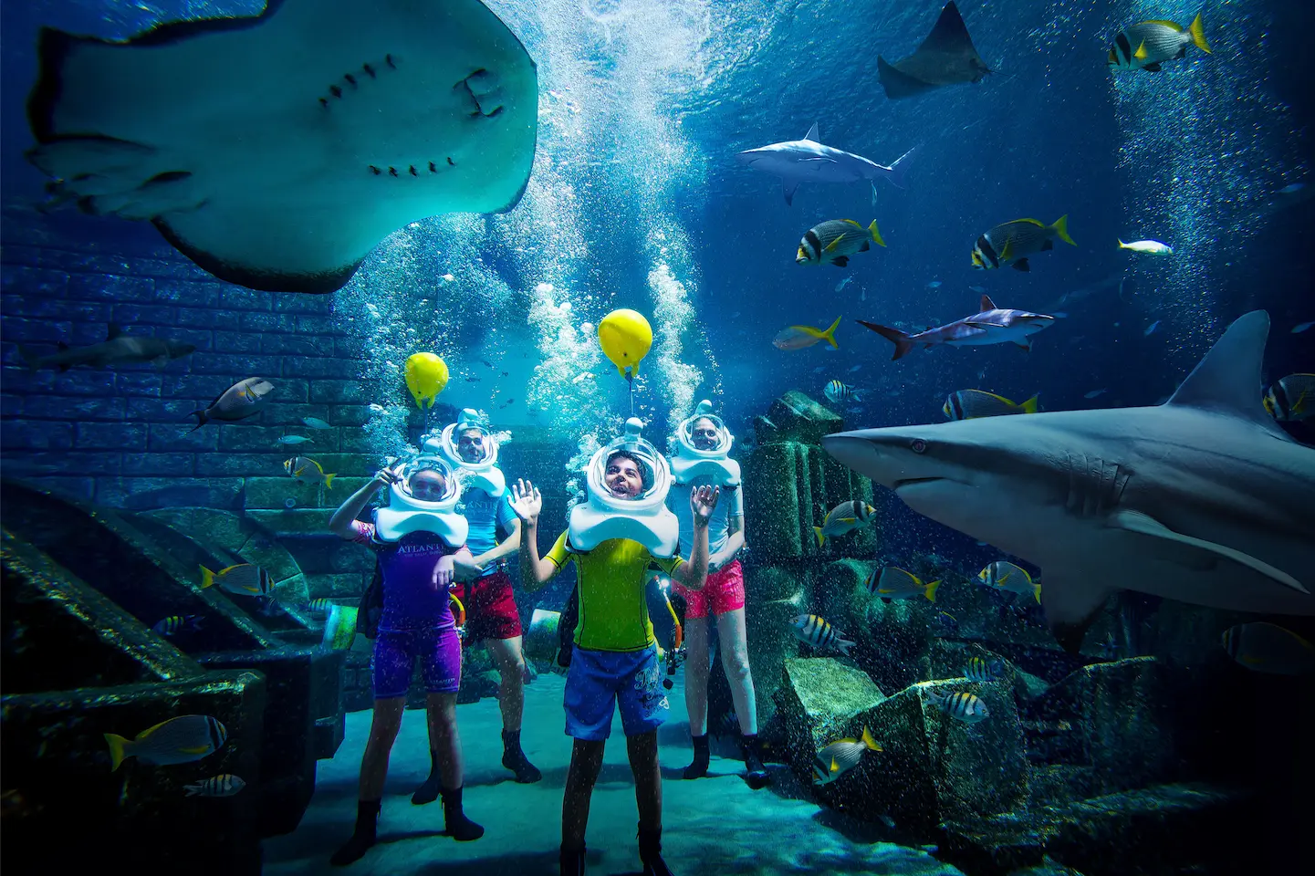 shark safari experience in shark lagoon at atlantis the palm dubai