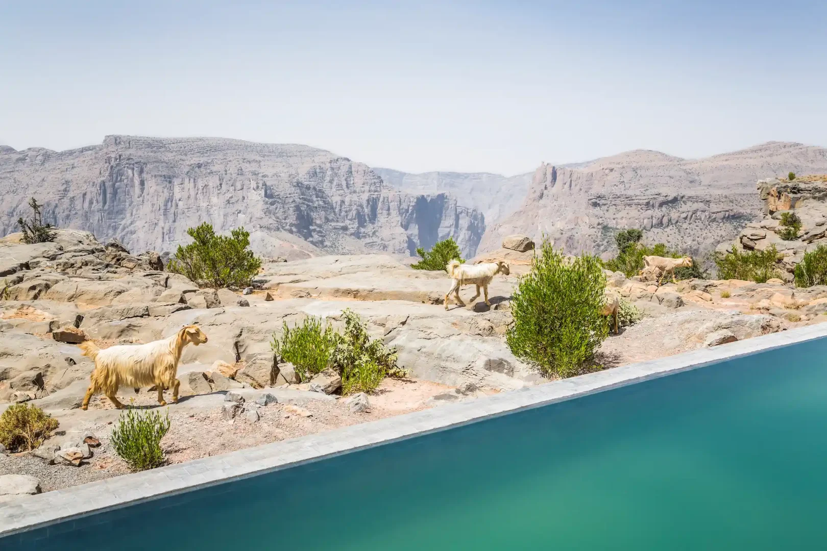 goat pool one bedroom cliff pool villa anantara al jabal al akhdar oman