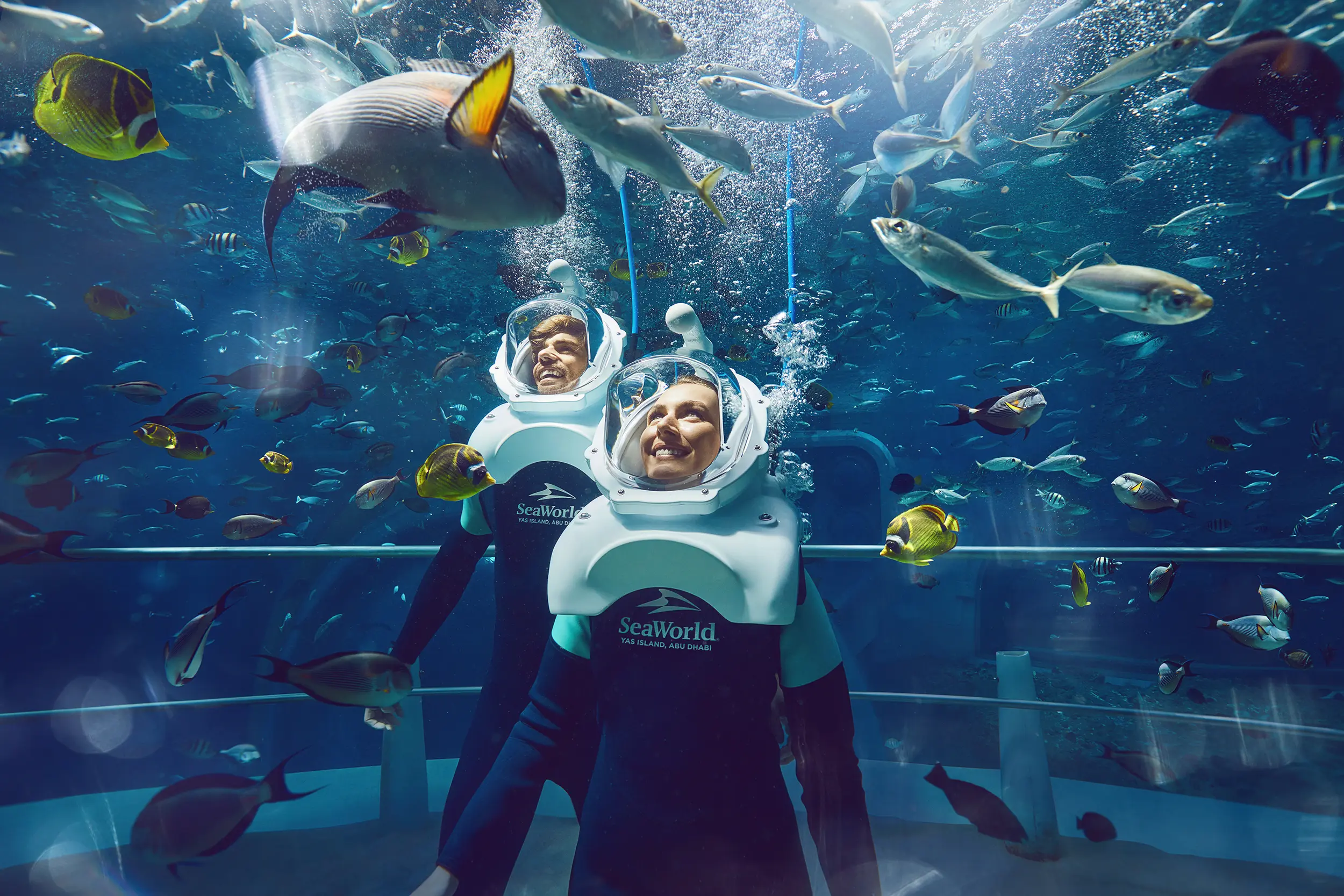 hilton abu dhabi yas island seaworld yas island abu dhabi