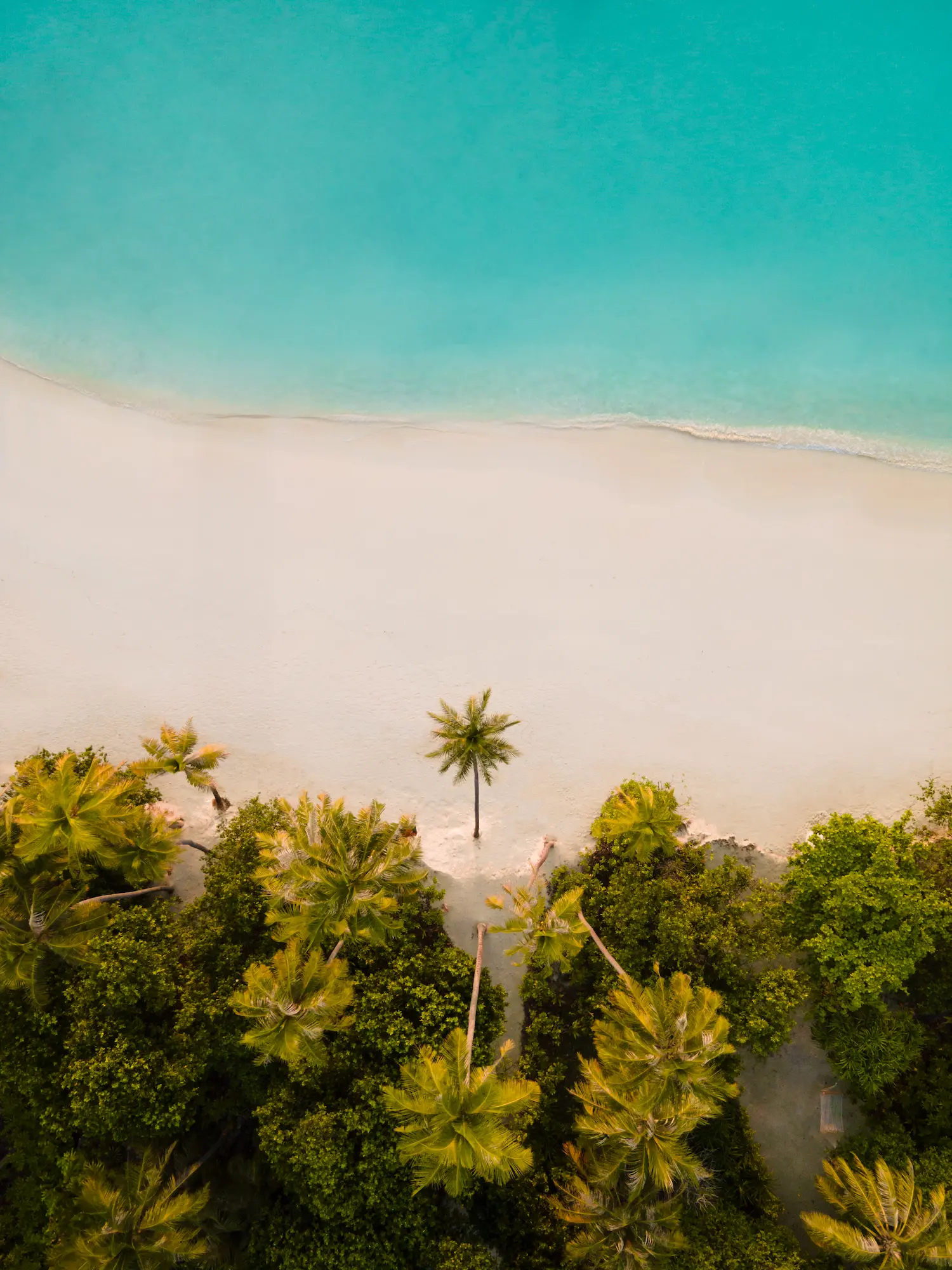 siyam world maldives aerial view showcasing expansive tropical island scenery with turquoise lagoons and luxurious beachfront surroundings