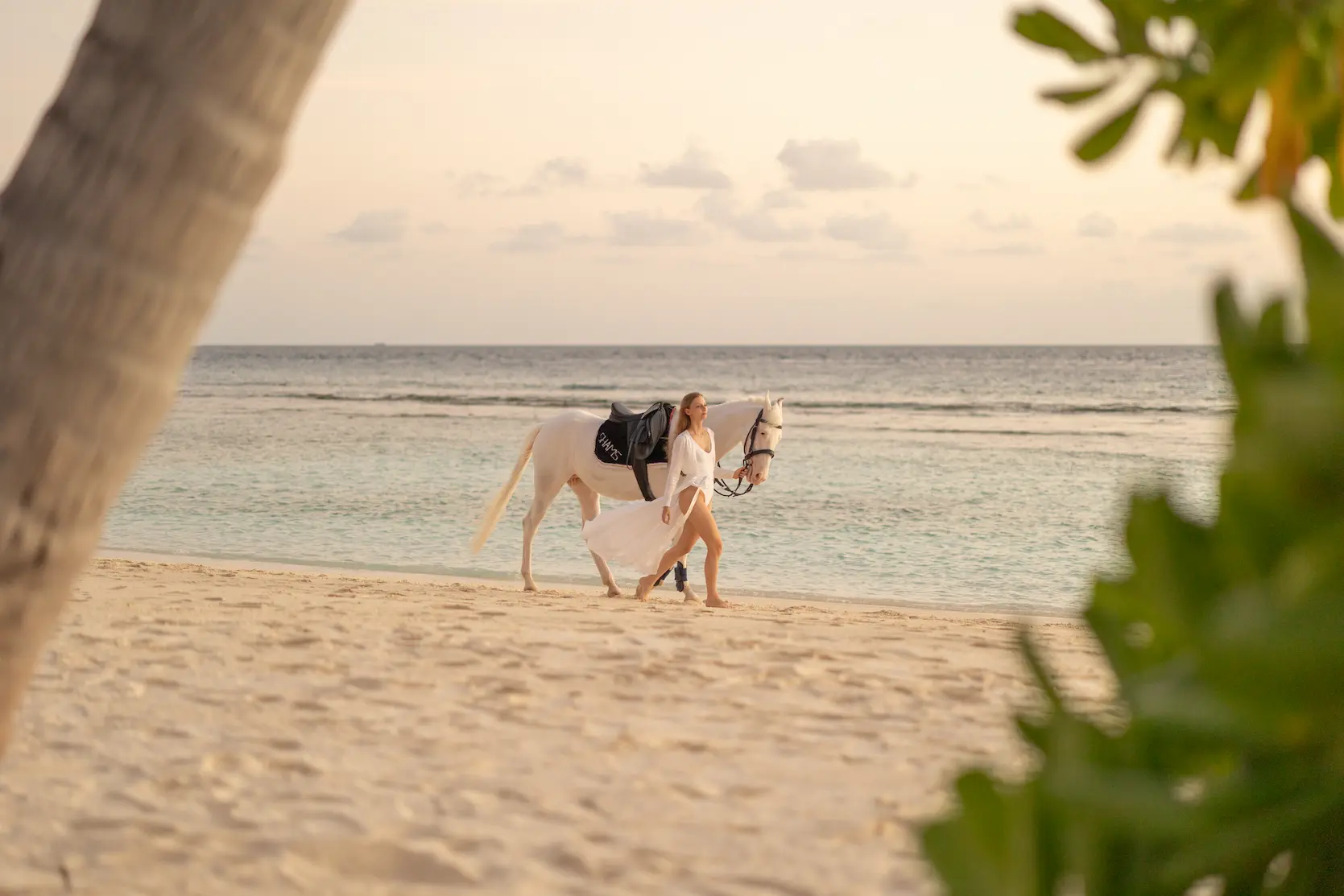 siyam world maldives horse ranch offering scenic island riding experiences with tropical trails and serene equestrian facilities