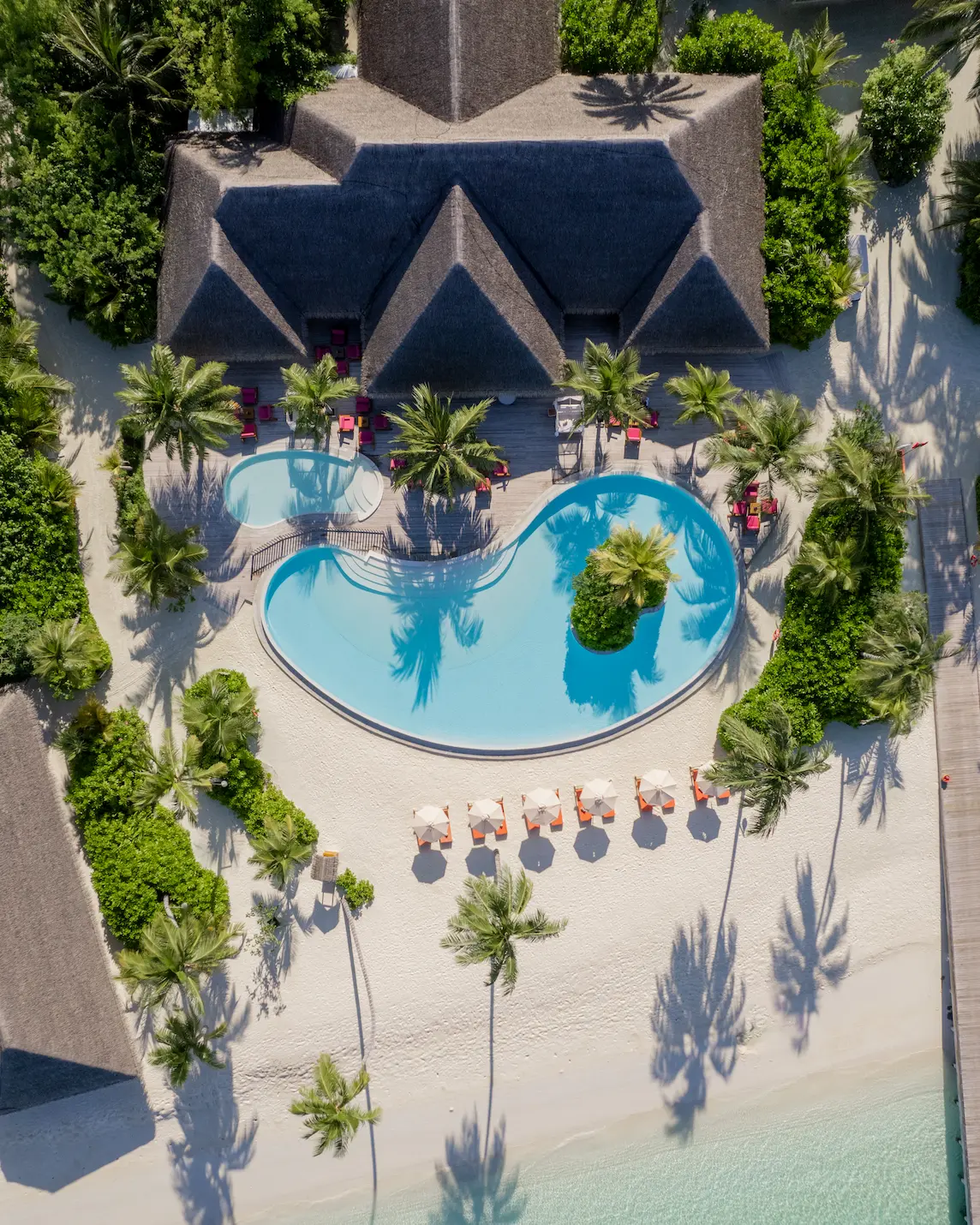 sun siyam iru veli maldives chemistry featuring a stylish beachfront bar ambience with contemporary island atmosphere