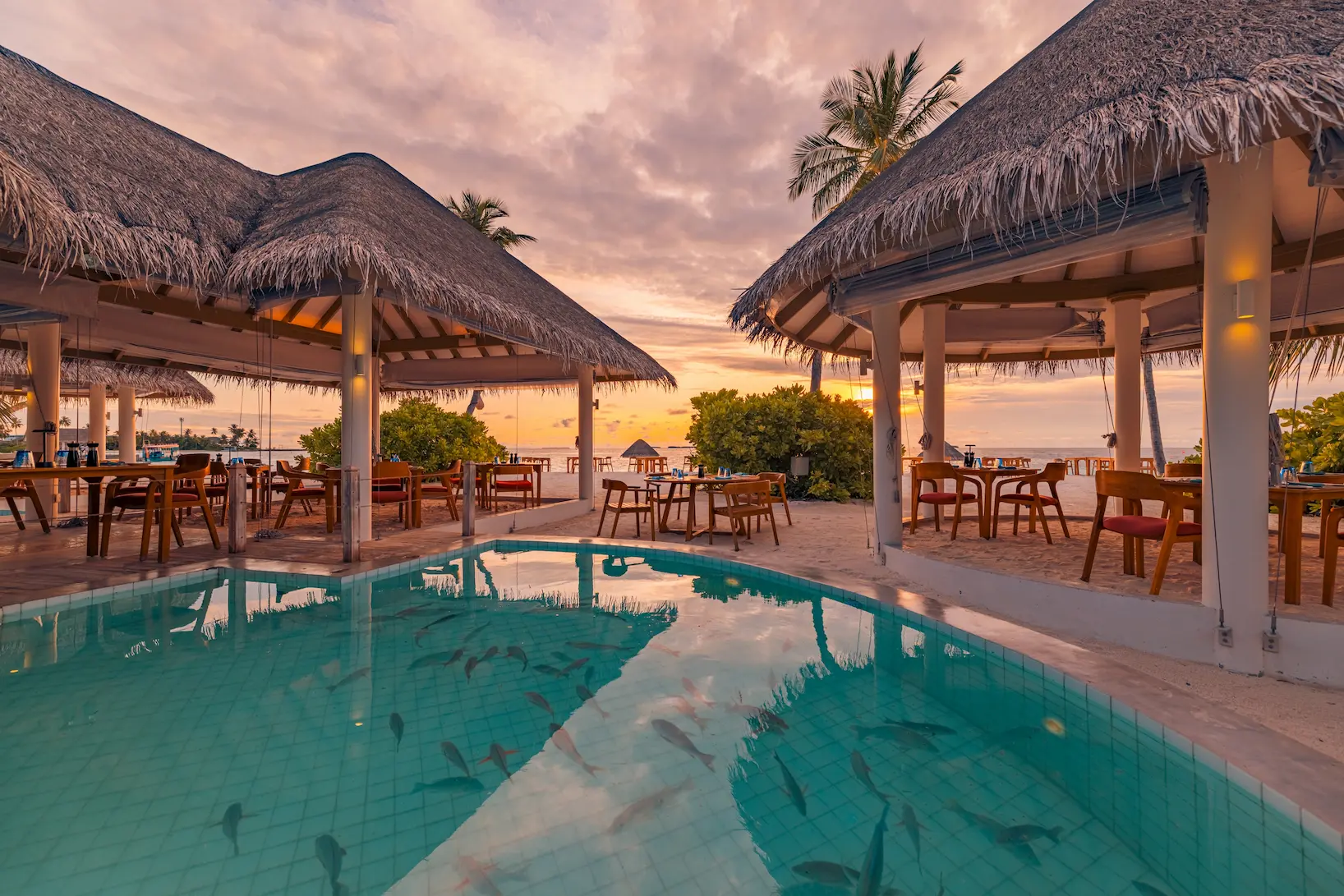 sun siyam iru veli maldives grouper grill showcasing a relaxed beachfront dining ambience with fresh seafood and ocean views
