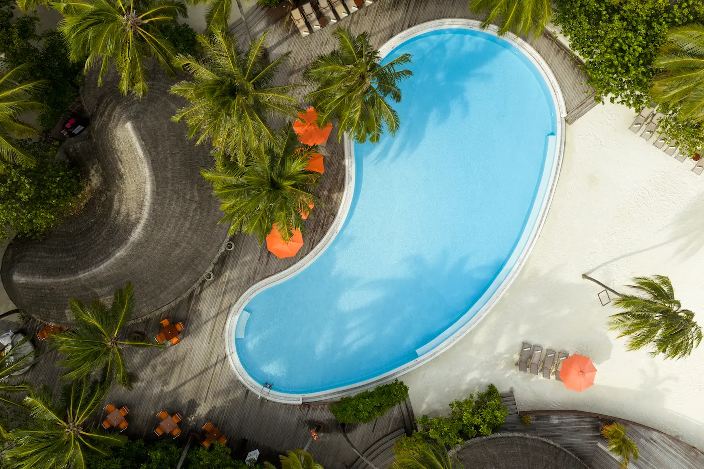 sun siyam vilu reef maldives positive energy exterior set in a vibrant open air space overlooking tropical surroundings