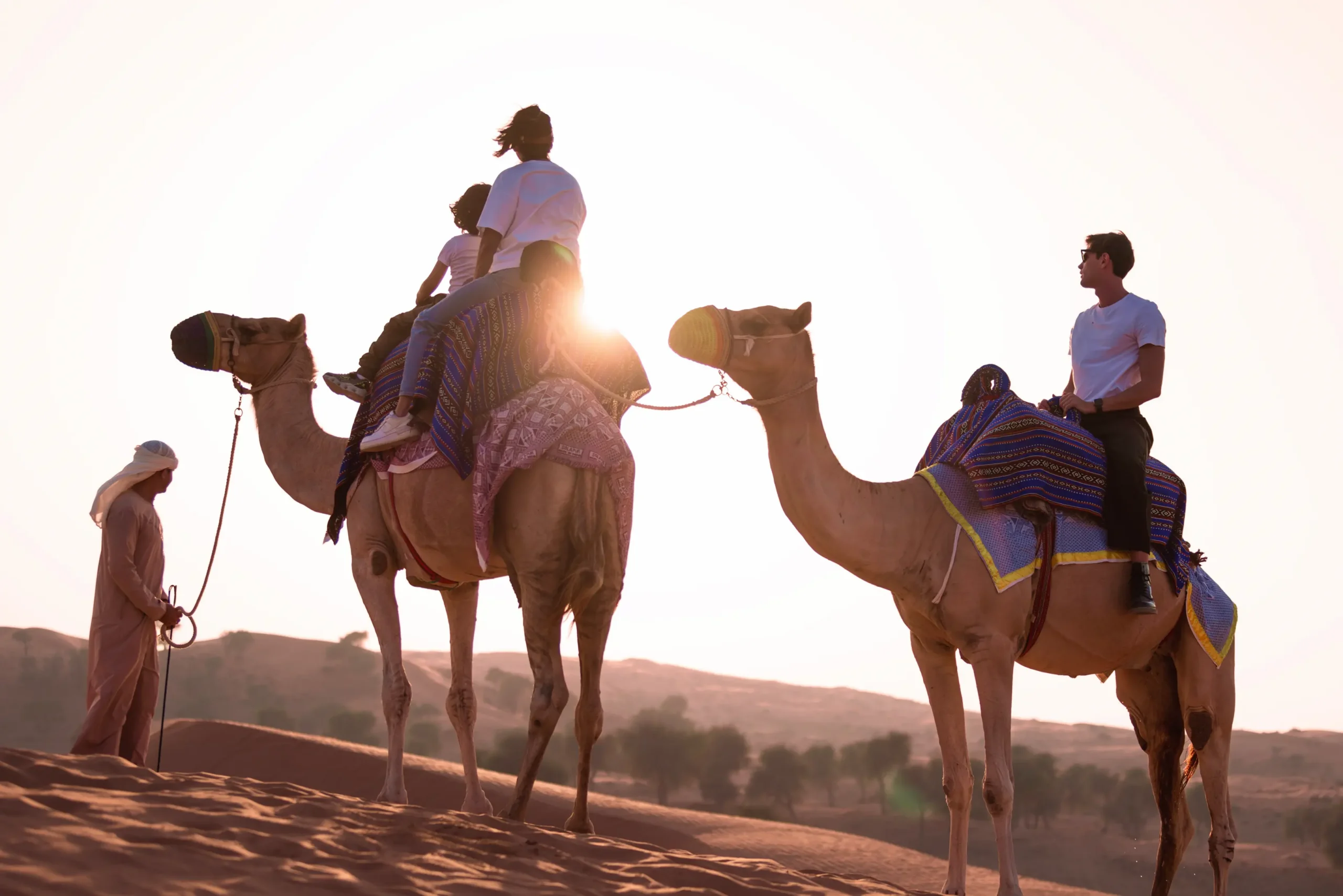 the ritzcarlton al wadi desert camel exploration offering a guided desert journey with camels across the natural reserve