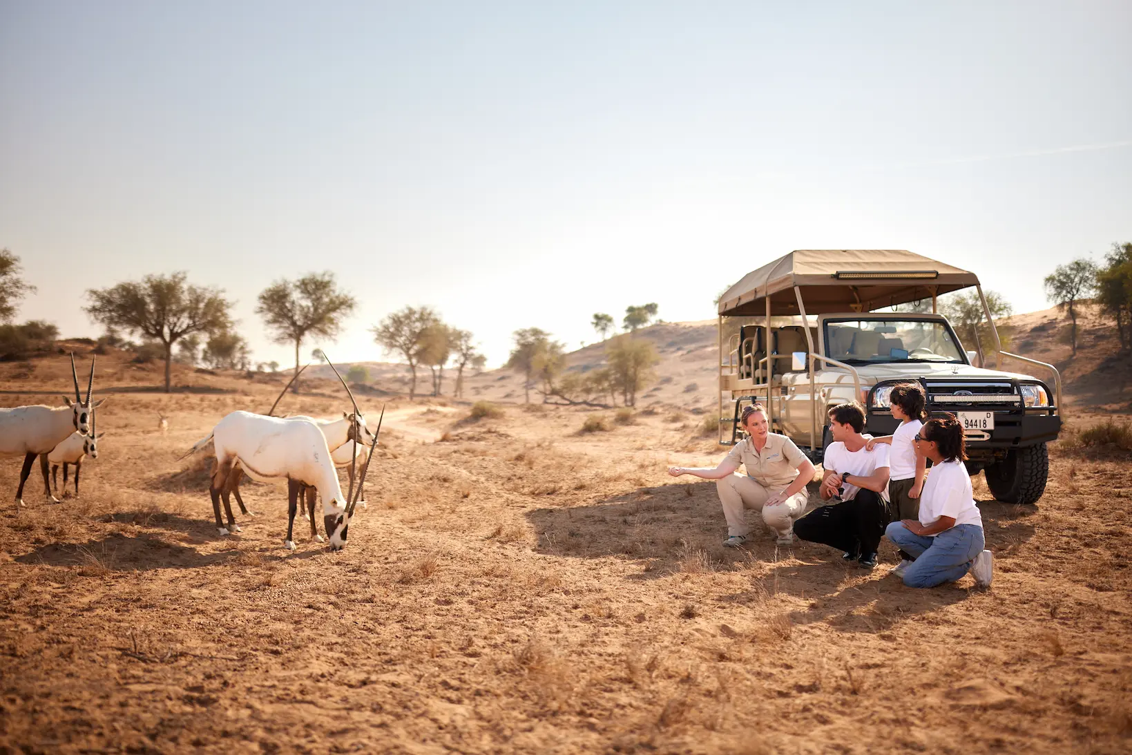 the ritzcarlton al wadi desert wildlife showcasing native desert animals within the natural reserve surroundings