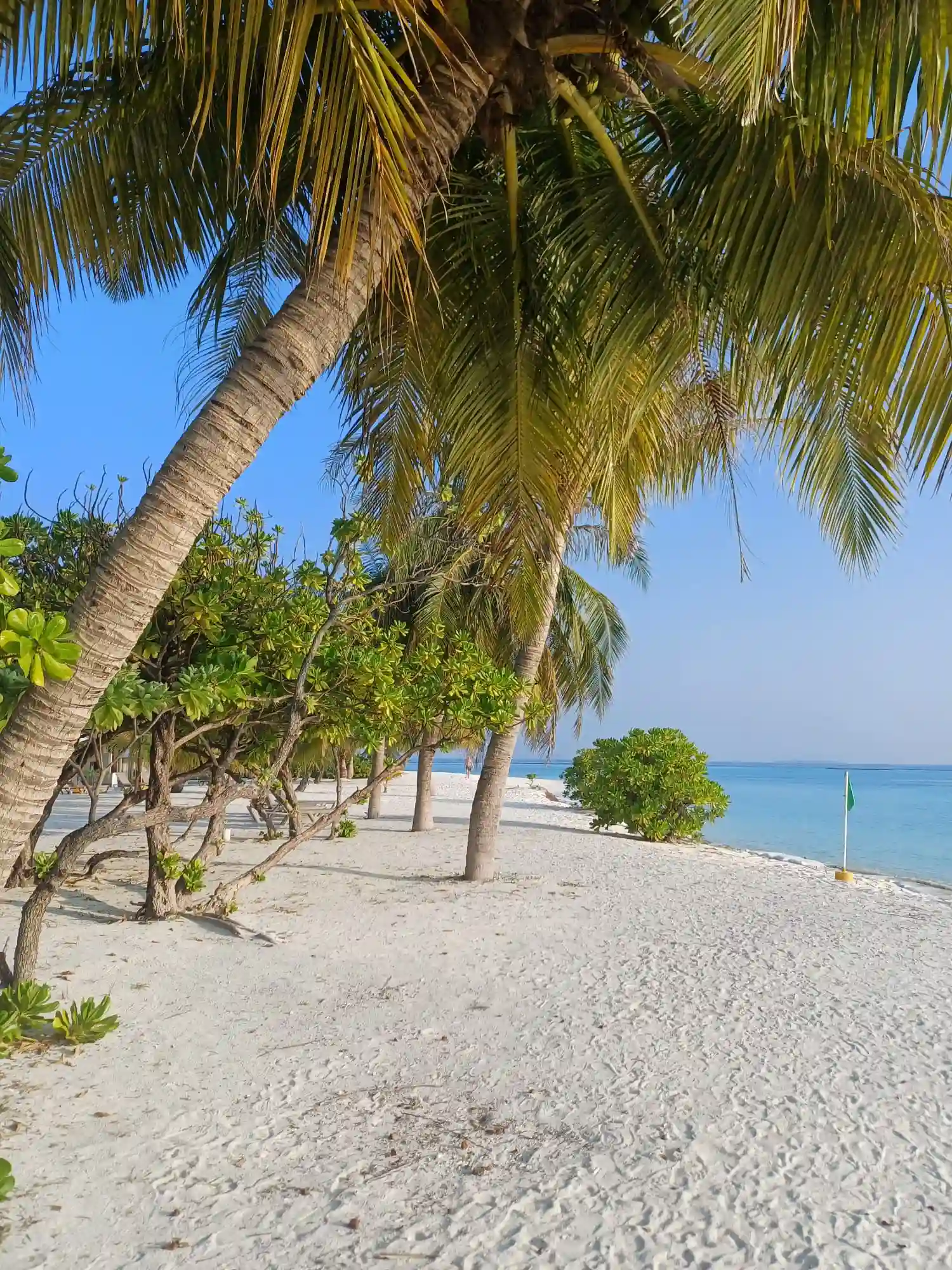 adaaran select meedhapparu maldives beach