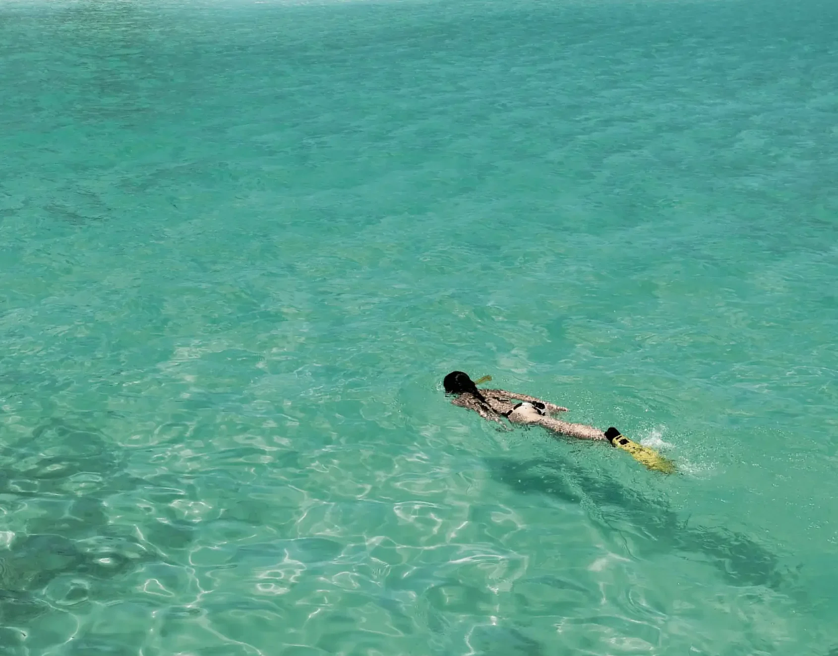 constance halaveli maldives snorkelling