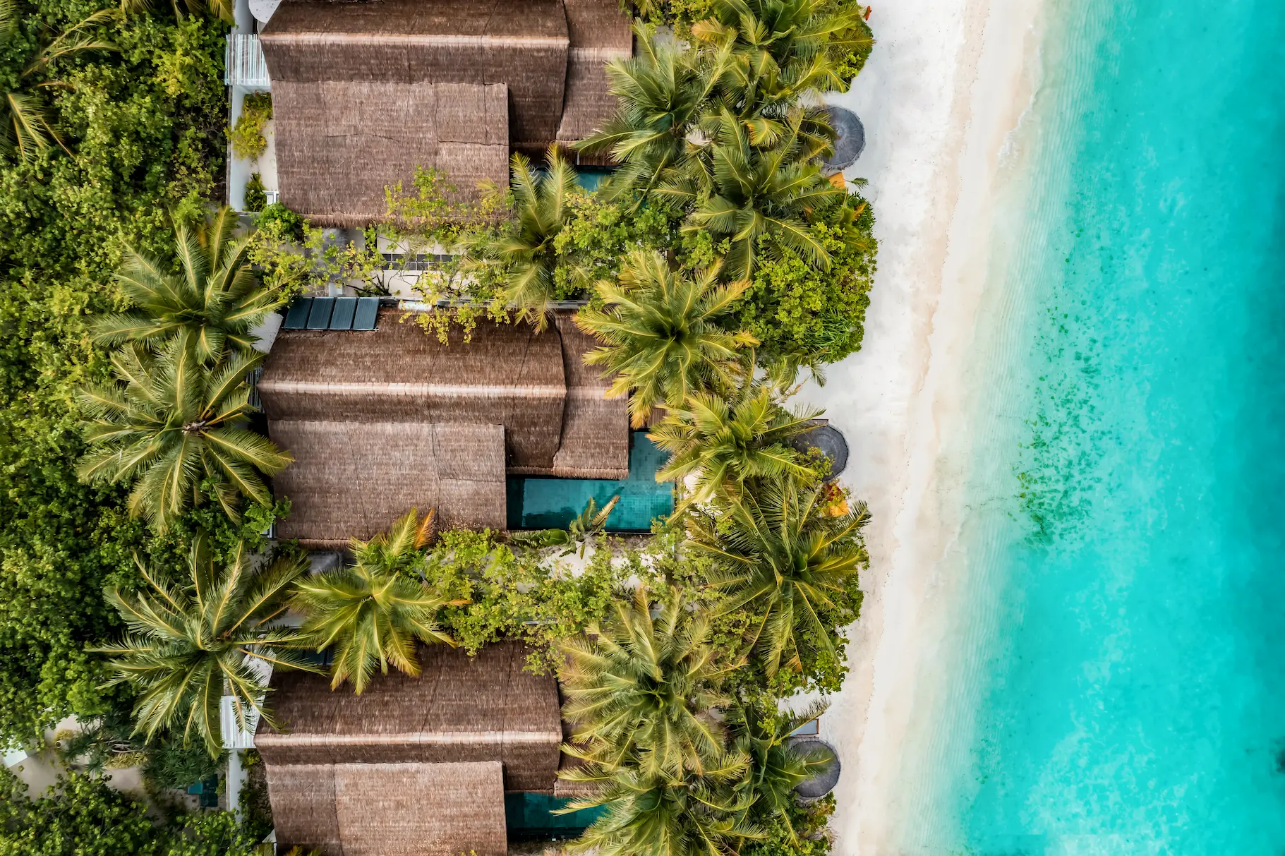 Aerial view of an Earth Pool Pavilion at OZEN LIFE MAADHOO, showcasing the beachfront location, private pool, outdoor living areas and spacious family accommodation layout