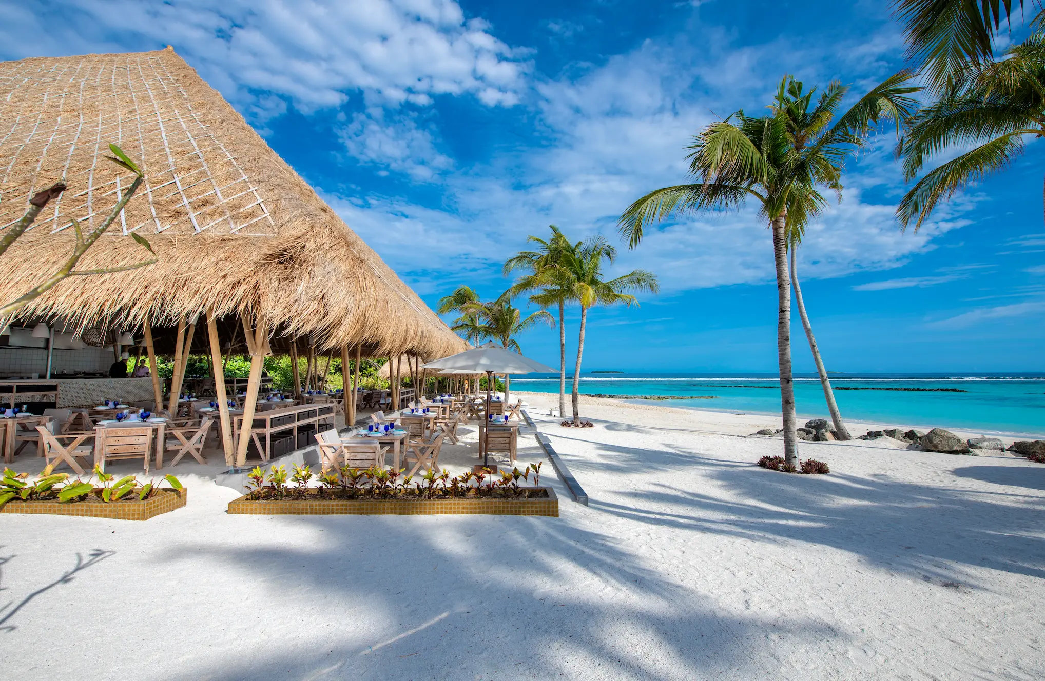 beach club grill at emerald maldives resort & spa in the maldives featuring beachfront dining with lagoon views and freshly grilled seafood and meats