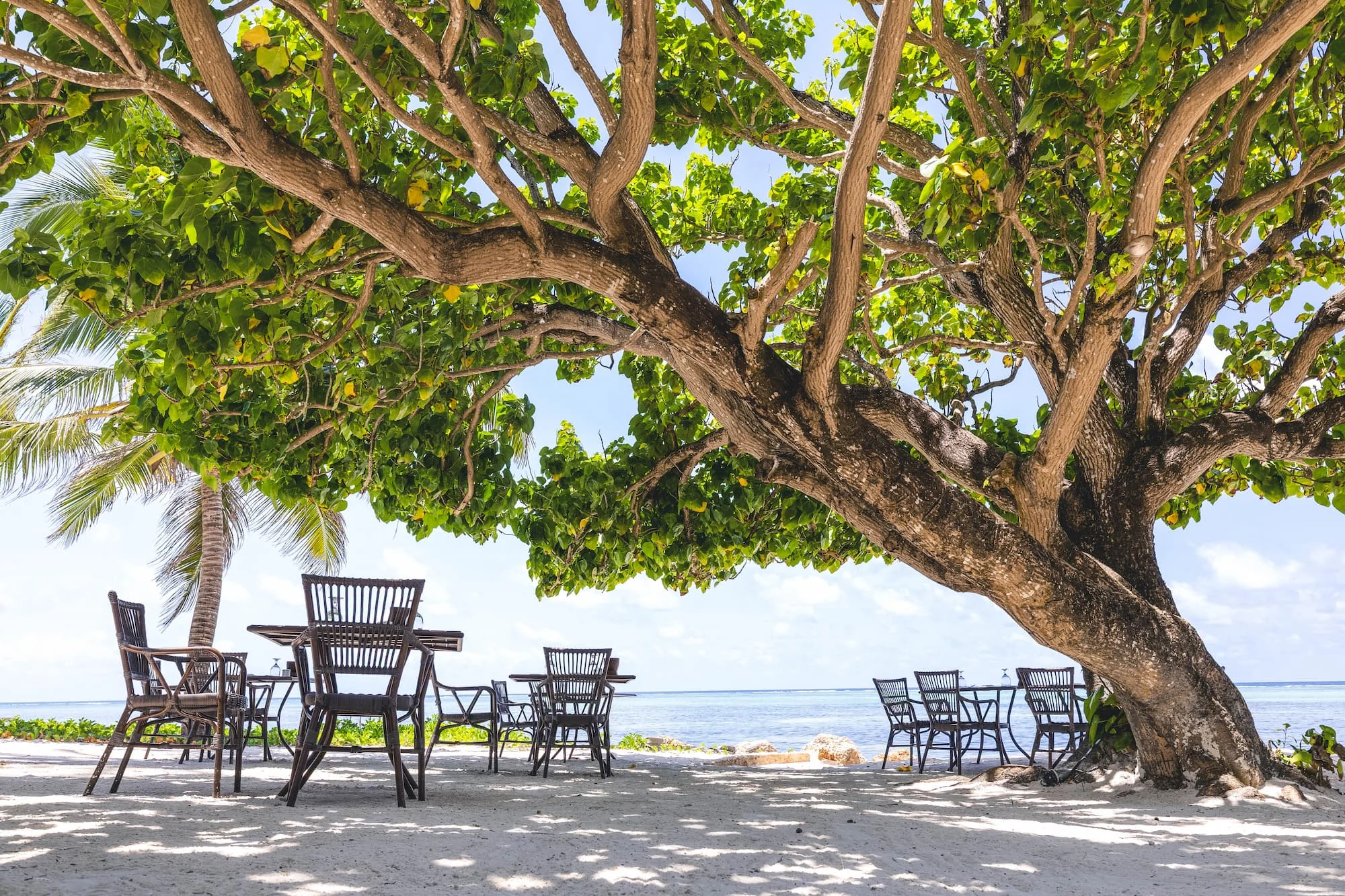 Breakers at Breezes at Breezes Beach Club & Spa Zanzibar offering relaxed beachfront dining beneath the palm trees overlooking the Indian Ocean.